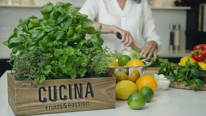 Cucina Fruits & Passion Hand Soap Refill – 1 Liter (33.8 oz) Sea Salt and Amalfi Lemon – Purifying All Natural Kitchen Hand Soap with Olive Oil – Vegan and Moisturizing Formula