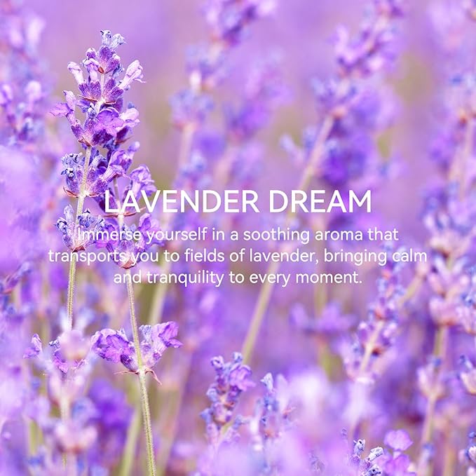 MYARO 20 Packs Fresh Lavender Sachets, Air Freshener for Drawer and Closet, Long-Lasting Sachets Bags Drawer deodorizers Fresh Scents, Home Fragrance for Lover
