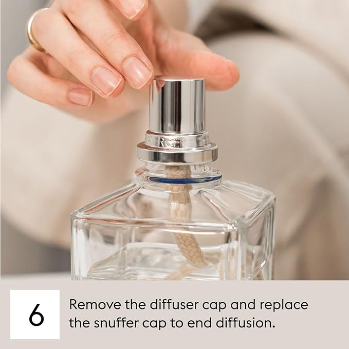 MAISON BERGER - Agaves Garden - Lampe Berger Fragrance Refill for Home Fragrance Oil Diffuser - Air Freshener - 33.8 Fluid Ounces - 1 Liter